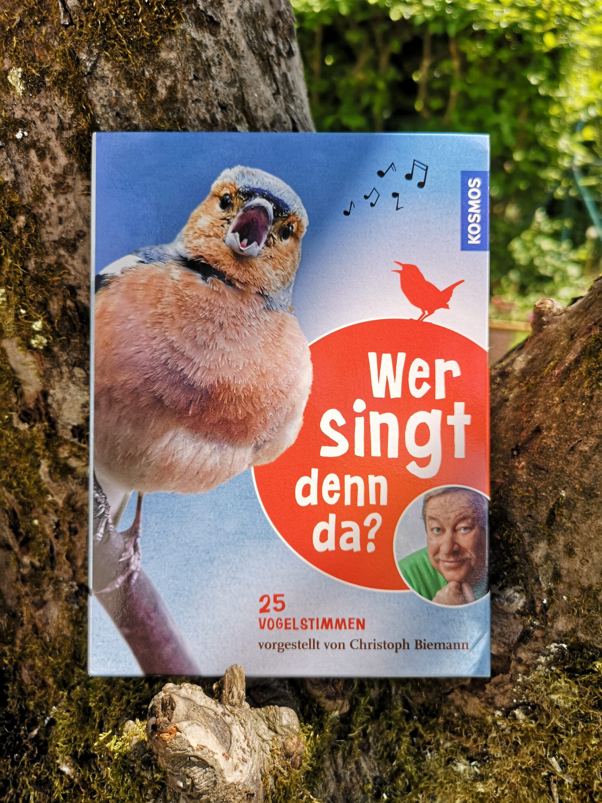 Wer singt denn da? 25 Vogelarten am Gesang erkennen! Buchkinderblog