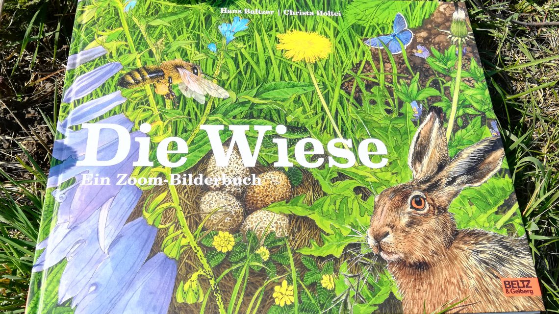 „Die Wiese. Ein Zoom – Bilderbuch“ – Christa Holtei/Hans Baltzer