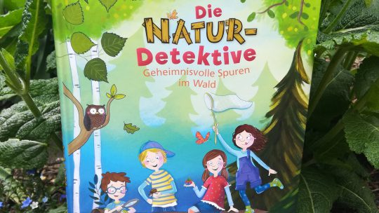 Die Naturdetektive. Geheimnisvolle Spuren im Wald – Fabian Lenk, Sabine Sauter