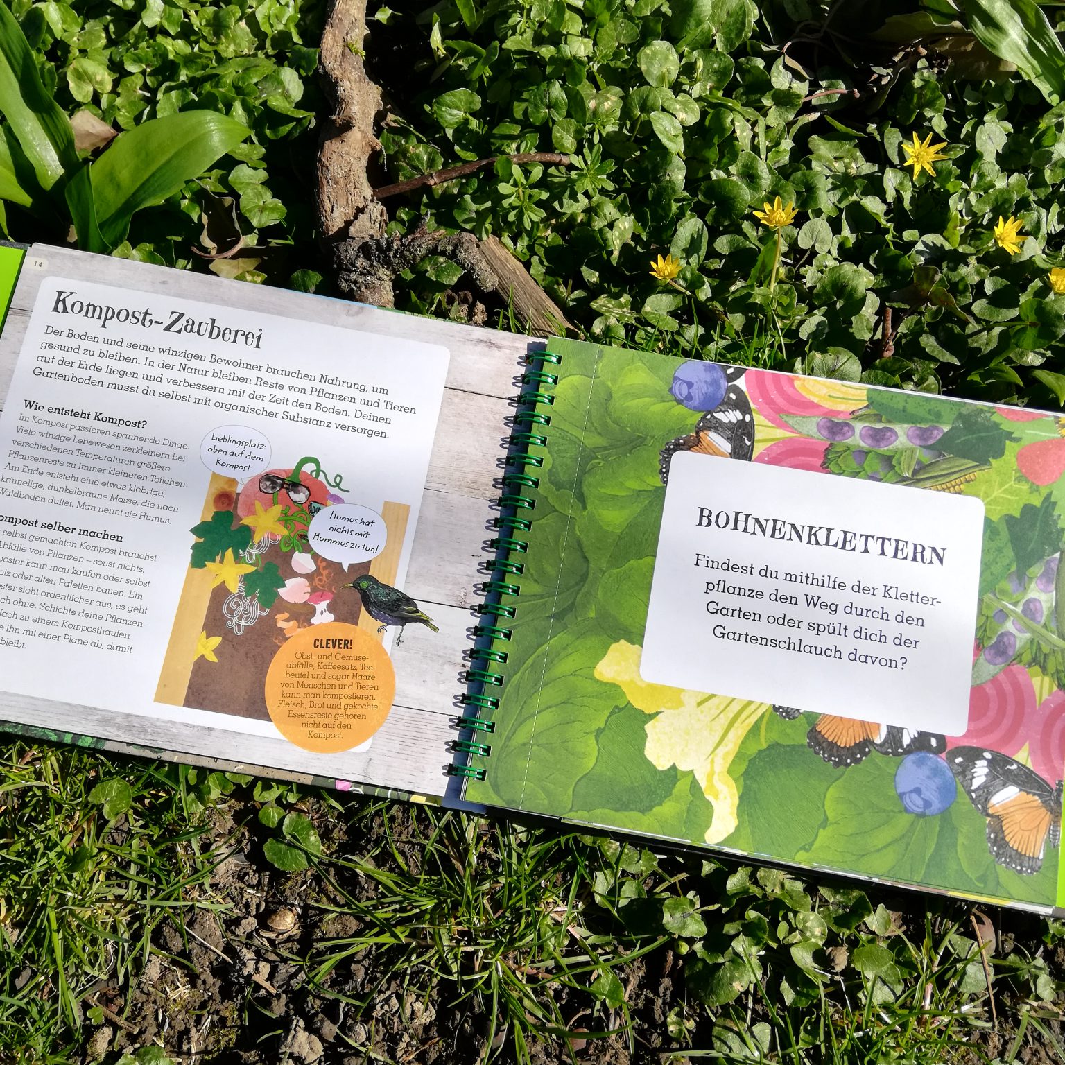 Gärtnern mit Kindern „Grün. Mein Mitmach Gartenbuch