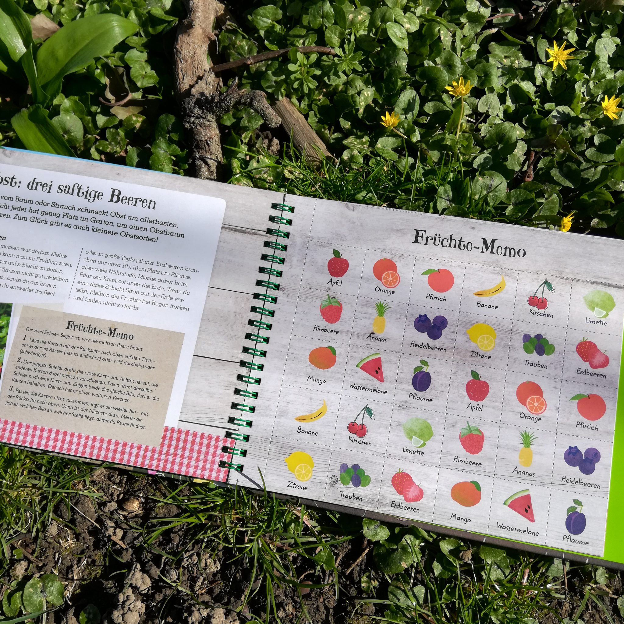 Gärtnern mit Kindern "Grün. Mein Mitmach Gartenbuch" Ben Raskin