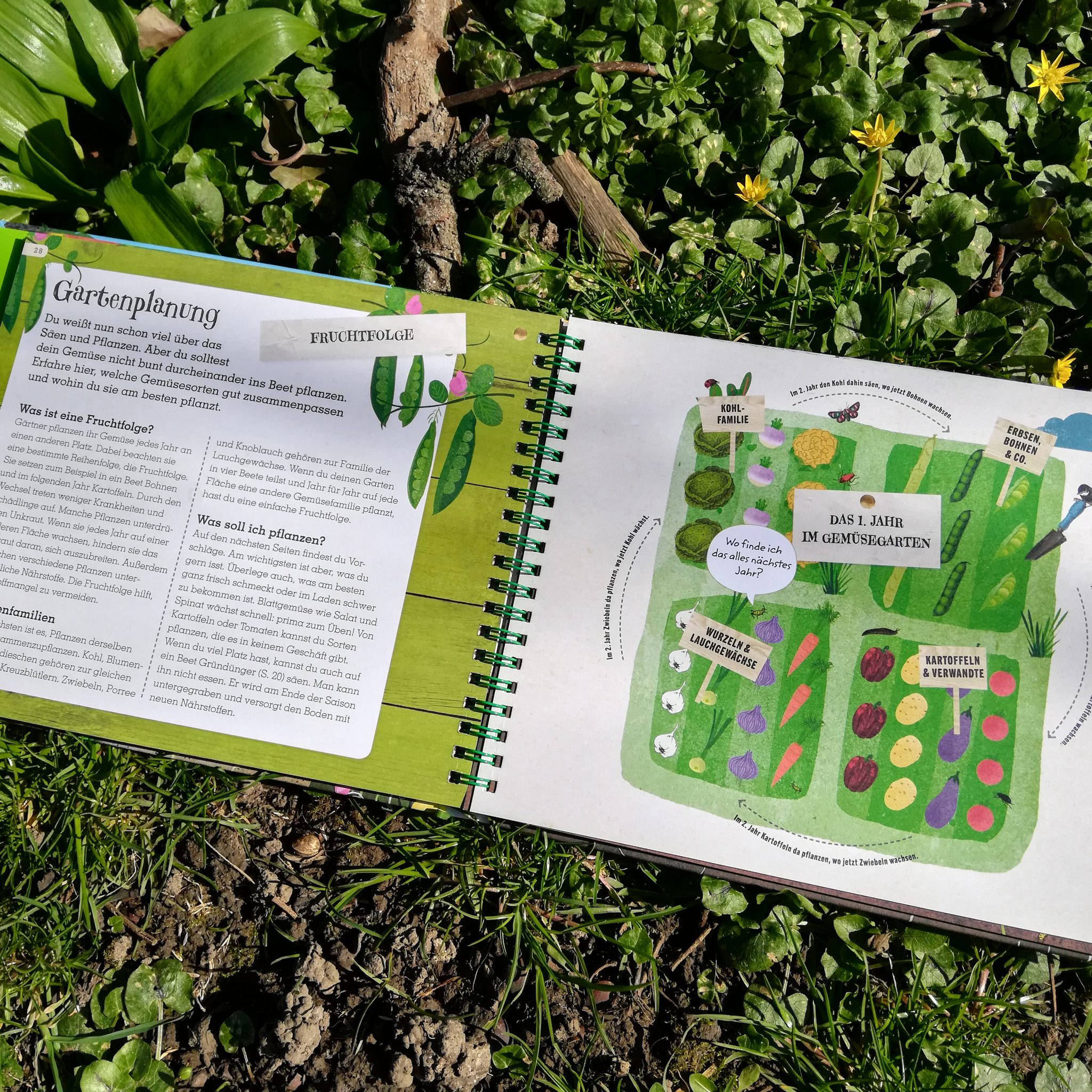Gärtnern mit Kindern "Grün. Mein Mitmach Gartenbuch" Ben Raskin