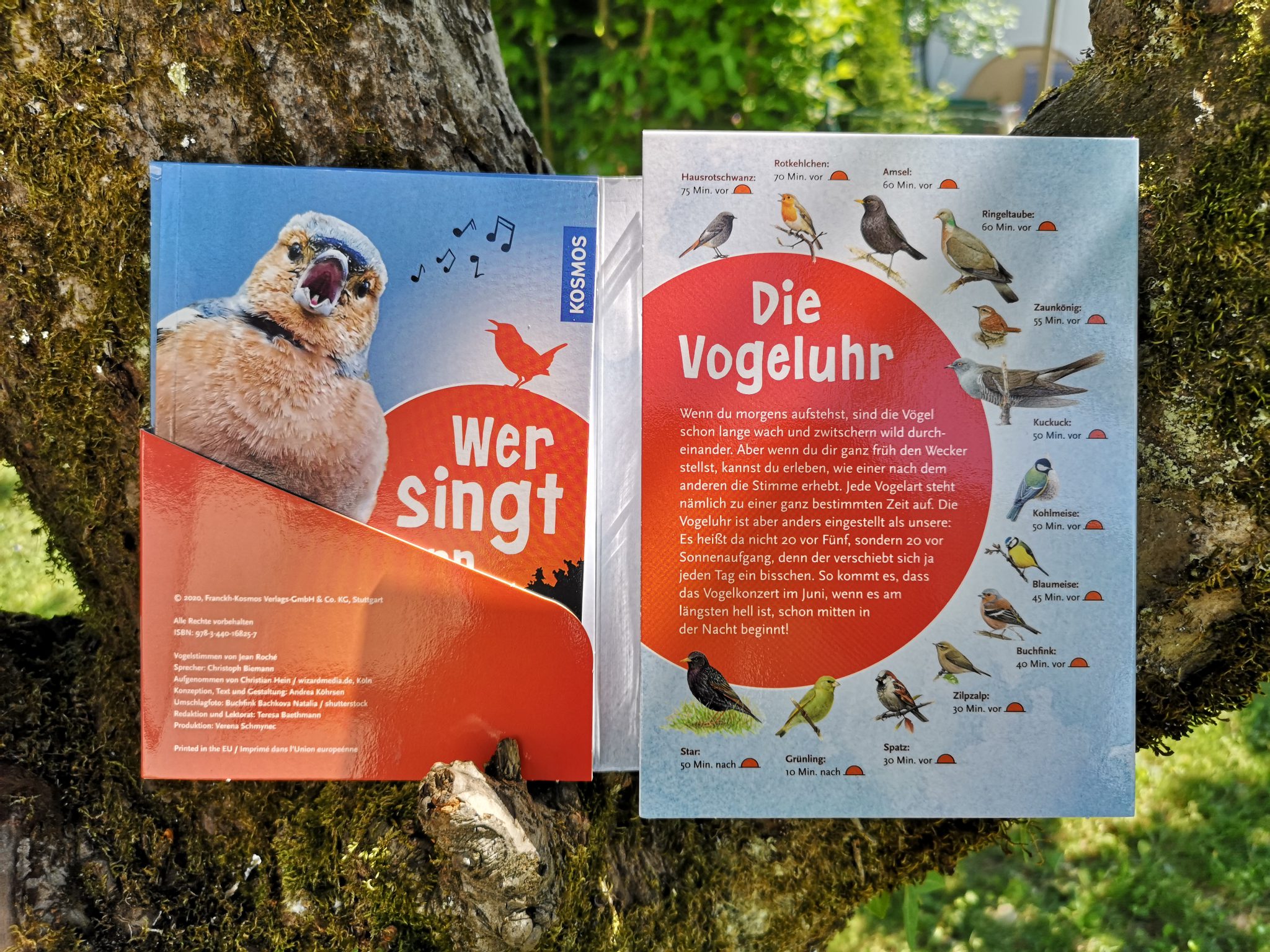 Wer singt denn da? 25 Vogelarten