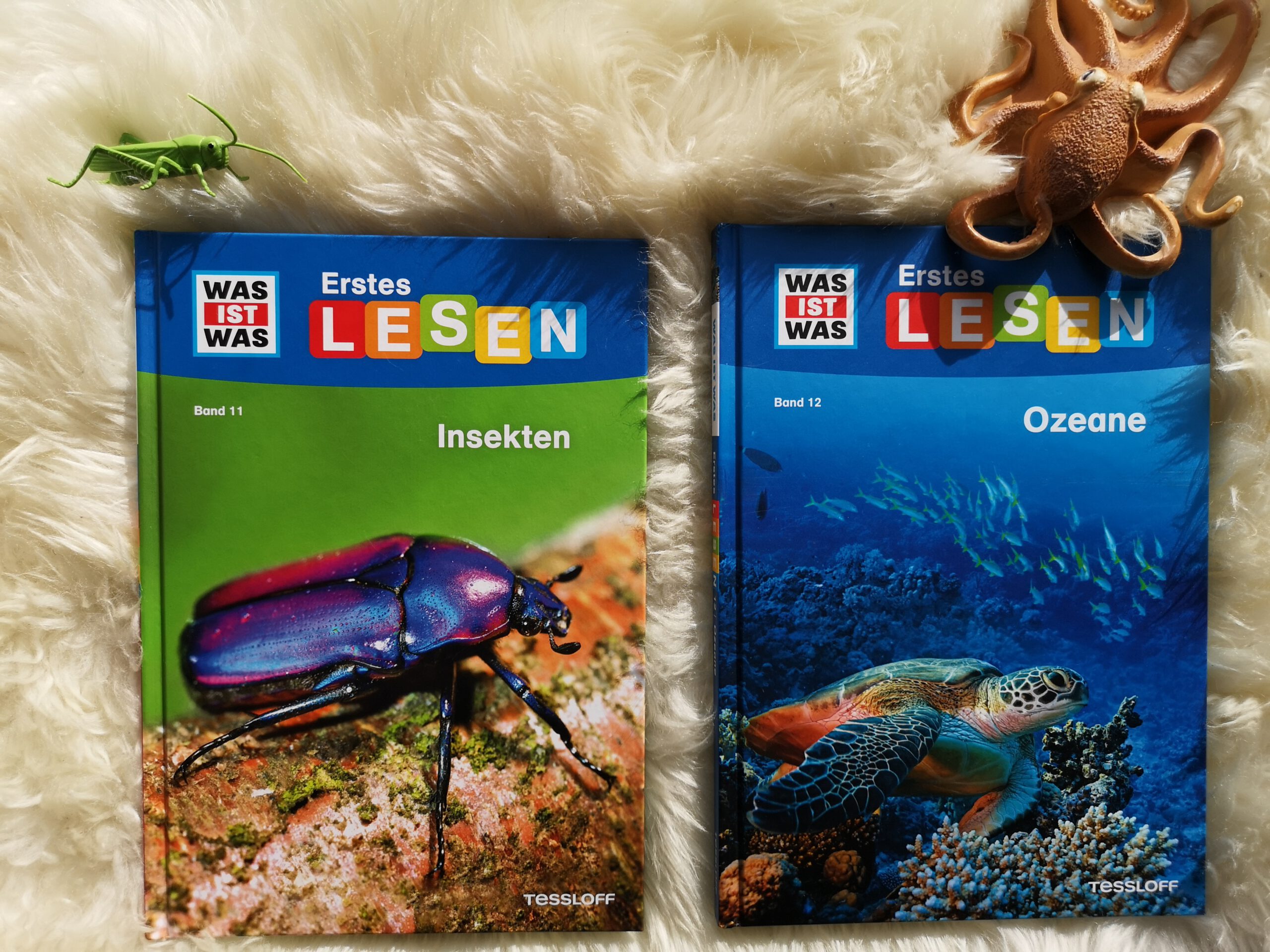 Erstes Lesen – Ozeane und Insekten