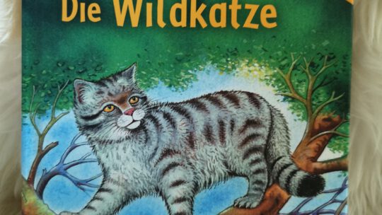 Sachwissen für Erstleser – „Die Wildkatze“