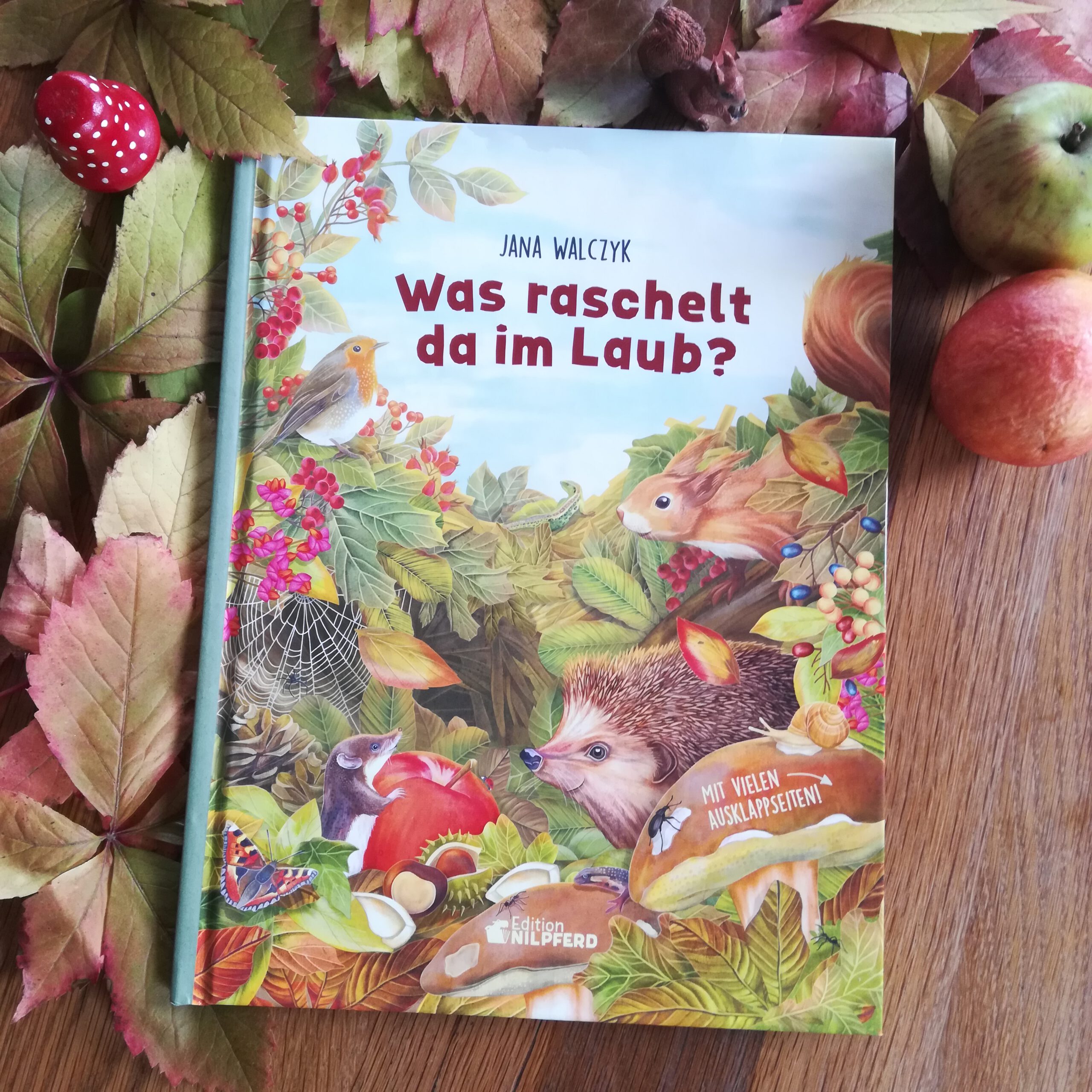 Ein allerschönstes Herbstbuch: „Was raschelt da im Laub?“ – Jana Walczyk