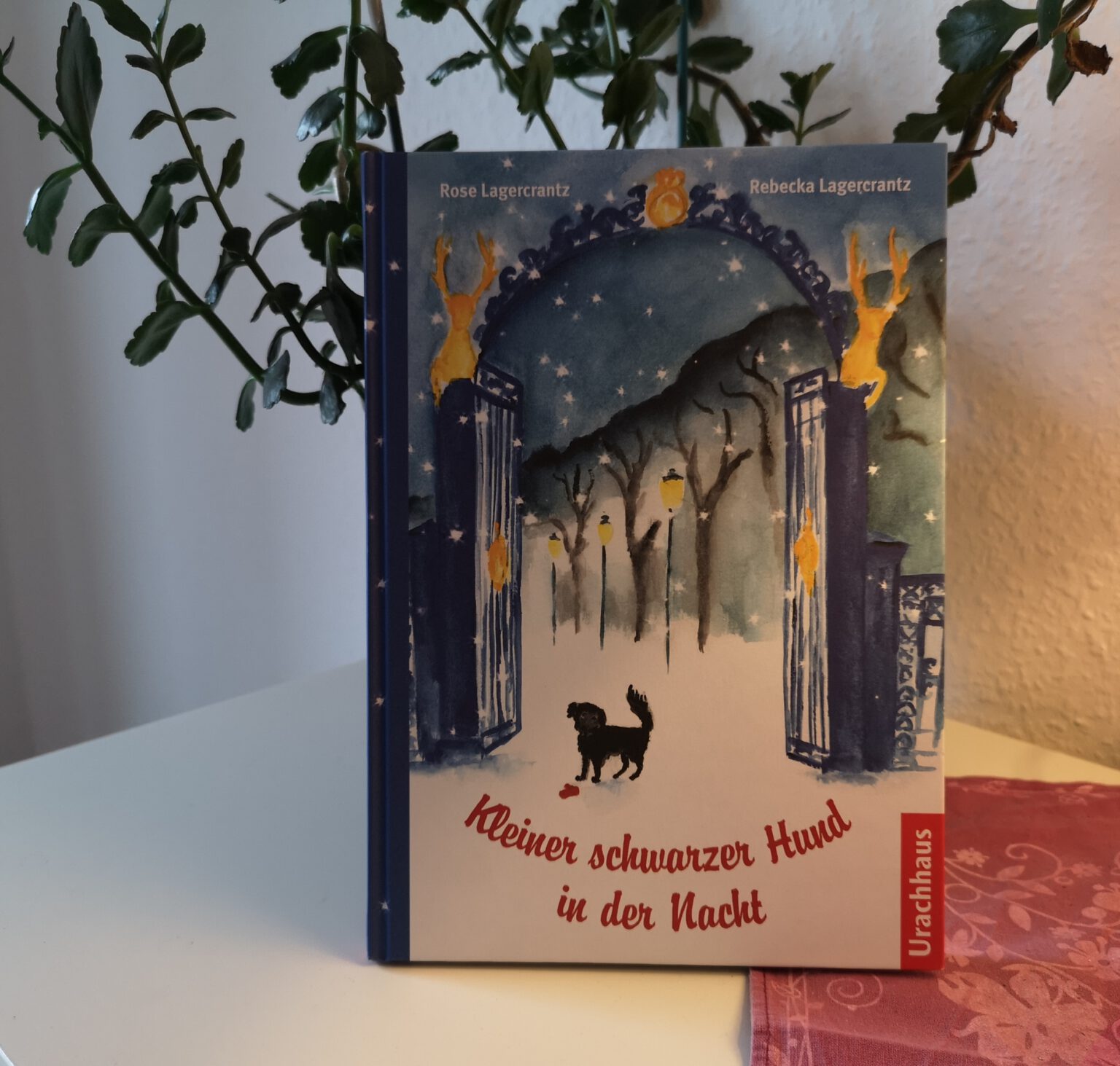 Kleiner schwarzer Hund in der Nacht Rose &amp; Rebecka Lagercrantz