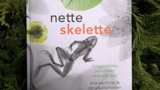 „Nette Skelette“ von Arie van’t Riet und Jan Paul Schutten