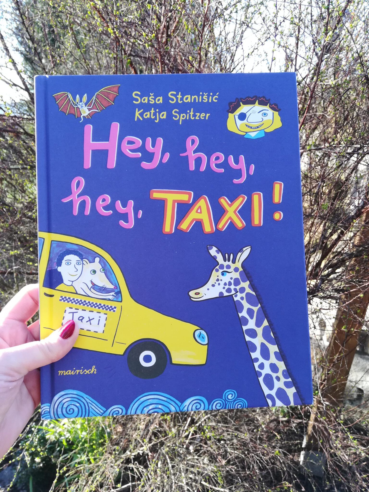 Hey Hey Hey Taxi Sa a Stani i Katja Spitzer Buchkinderblog hey hey hey taxi sa a stani i katja spitzer buchkinderblog