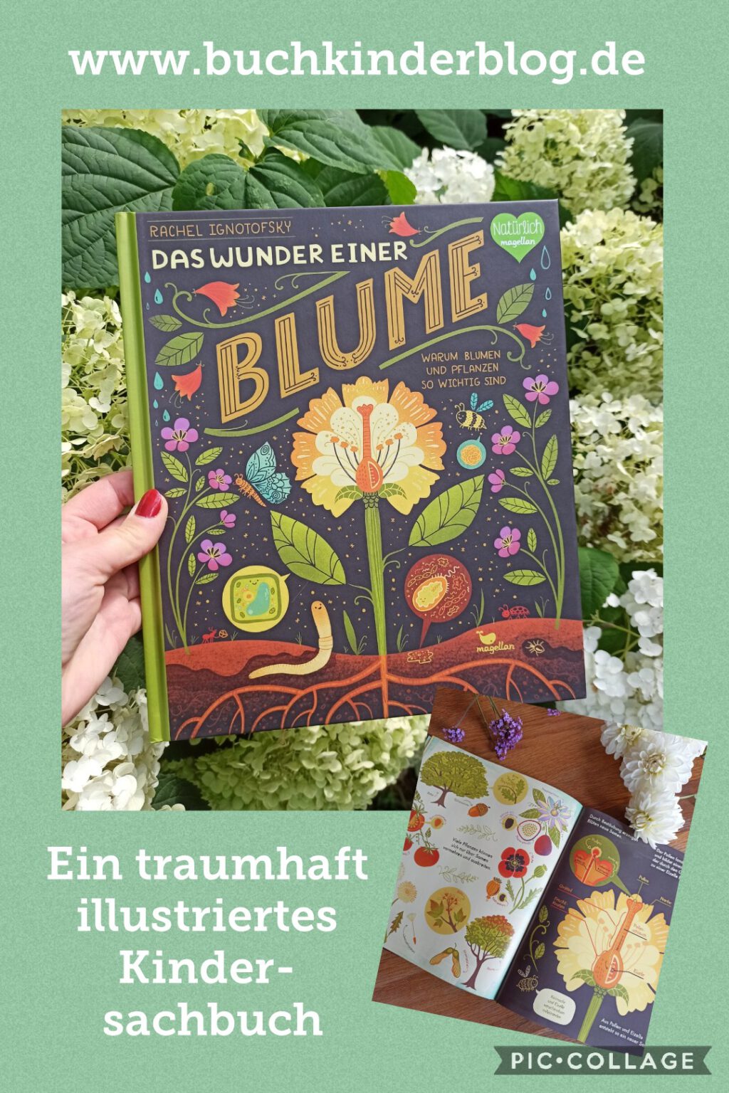 "Das Wunder einer Blume. Warum Blumen und Pflanzen so wichtig sind