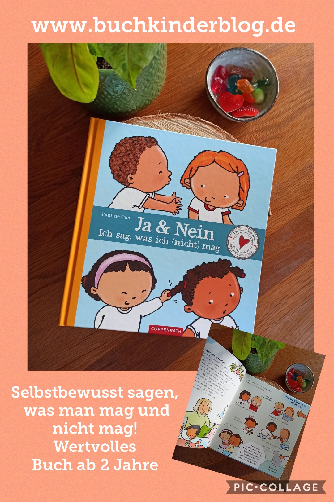 Ja Nein Ich Sag Was Ich Nicht Mag Pauline Oud Buchkinderblog