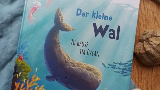 „Der kleine Wal. Zu Hause im Ozean“ – Kristina Scharmacher – Schreiber und Christine Faust