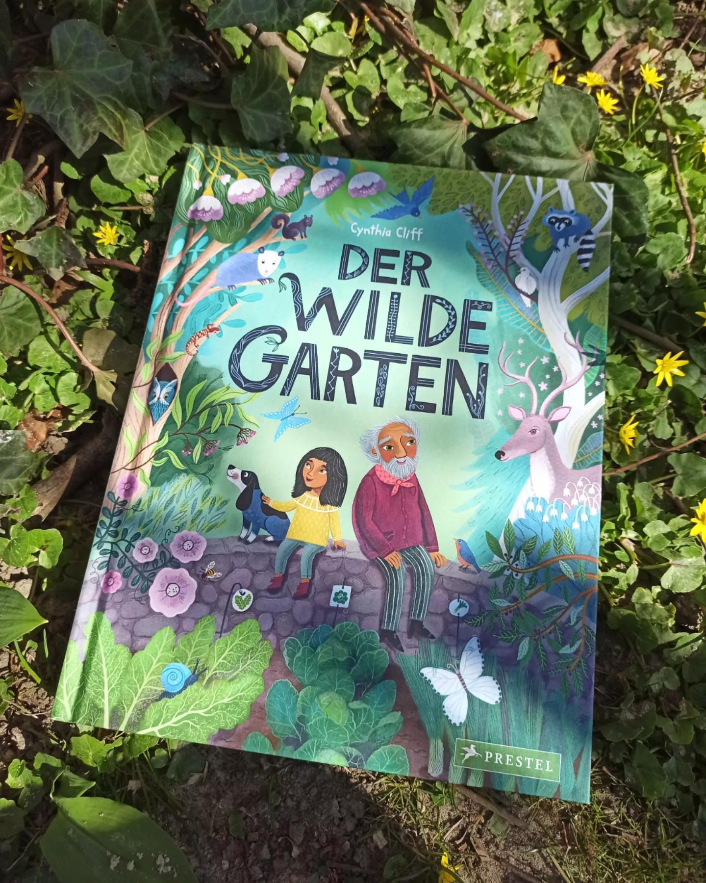 "Der wilde Garten" Cynthia Cliff Buchkinderblog