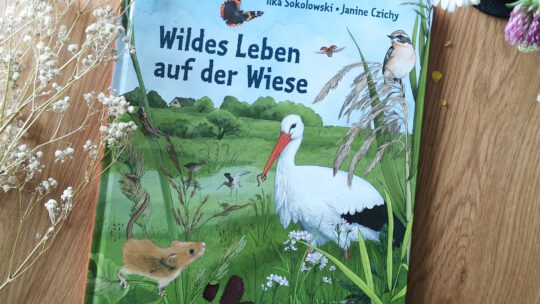 „Wildes Leben auf der Wiese“ von Ilka Sokolowski und Janine Czichy