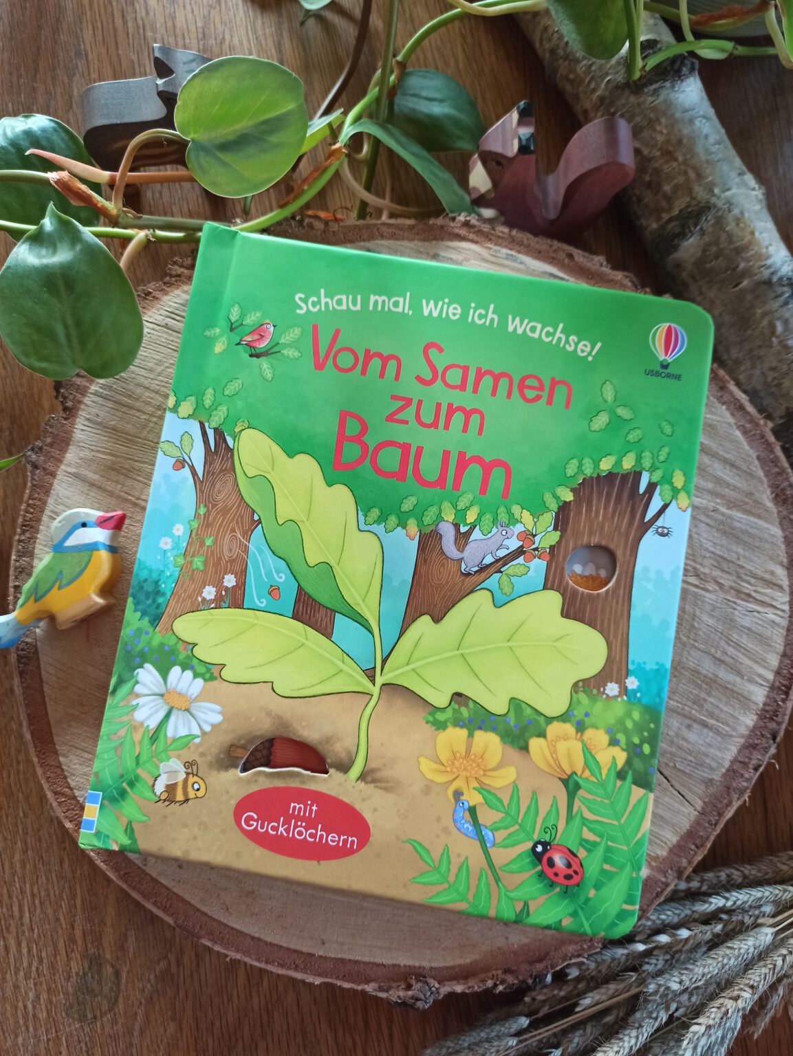 "Schau mal, wie ich wachse! Vom Samen zum Baum" Buchkinderblog