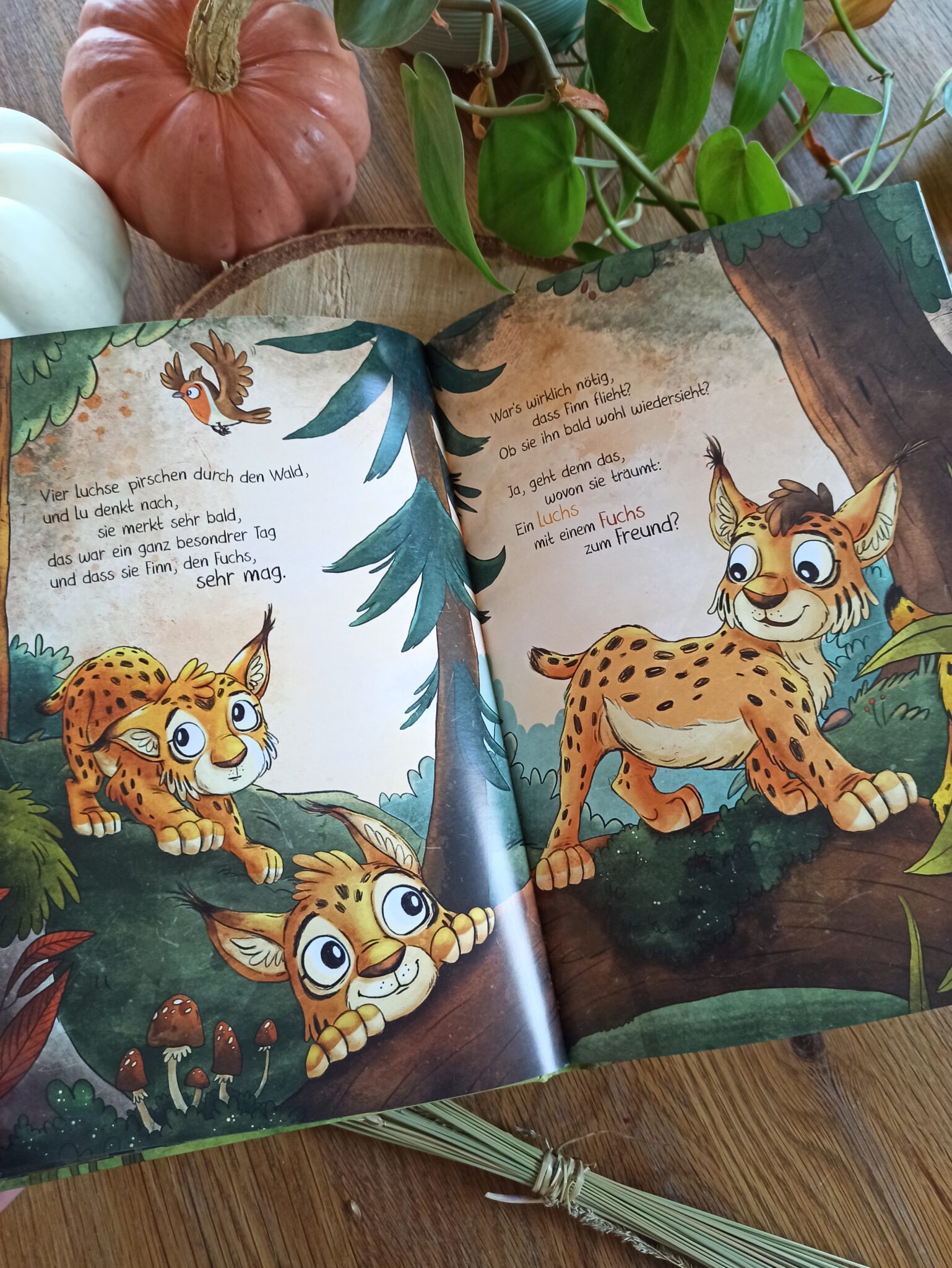 "Fuchs und Luchs. Freundschaft mit Schluckauf" - Buchkinderblog