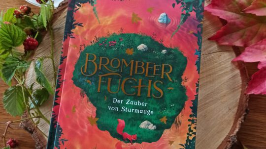 „Brombeerfuchs. Der Zauber von Sturmauge (Band 2)“ – Kathrin Tordasi