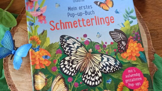 „Mein erstes Pop-up-Buch: Schmetterlinge“