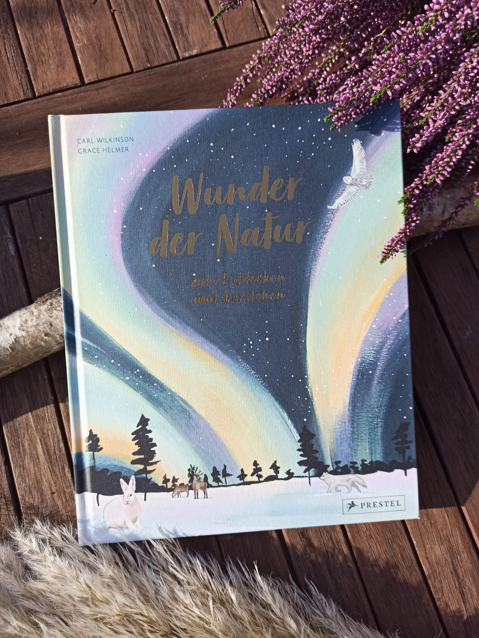 Wunder Der Natur Zum Entdecken Und Verstehen Buchkinderblog 