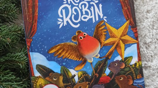 Ein Weihnachtsbilderbuch: „Rote Robin“