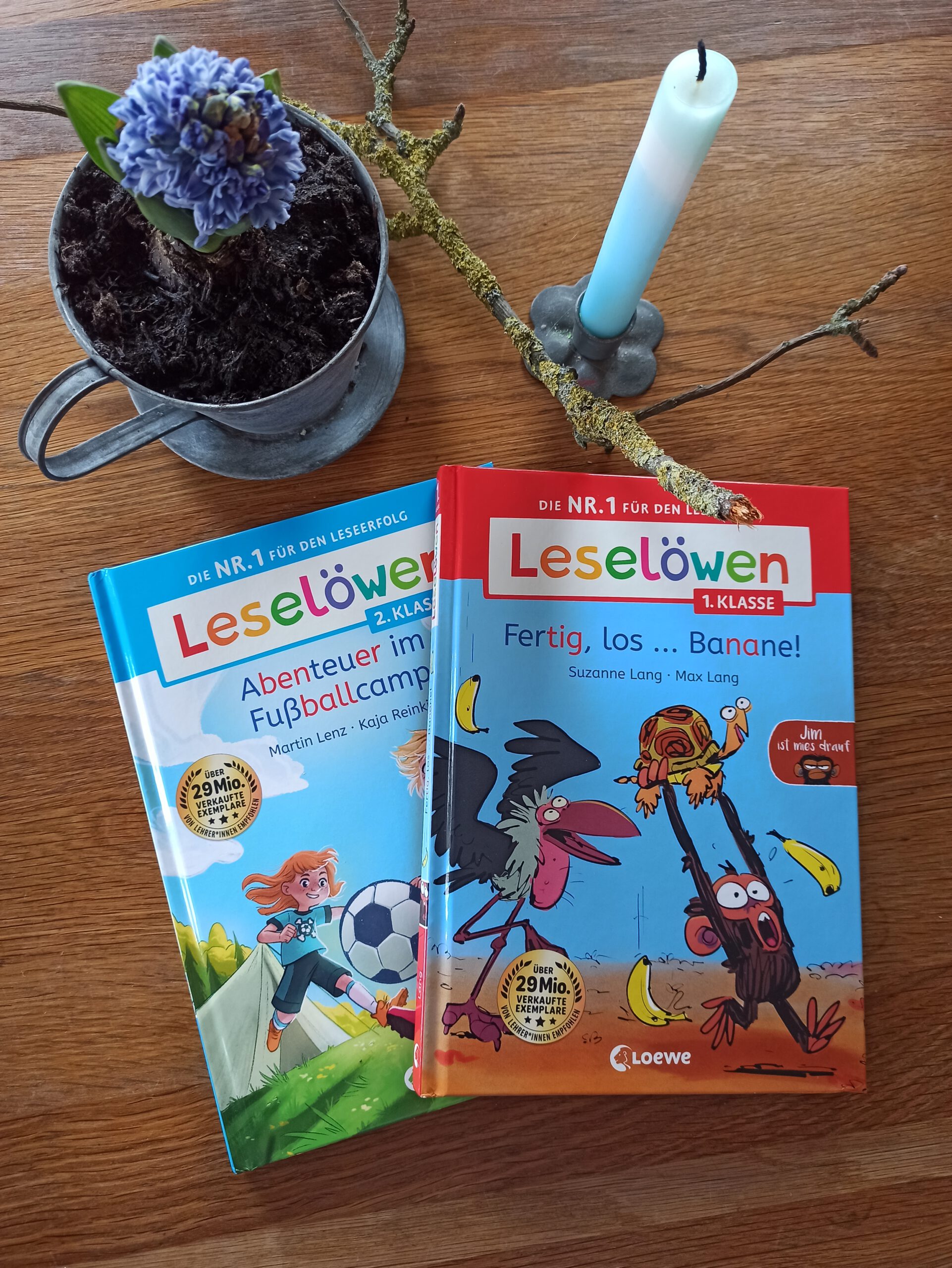 Lesen Lernen mit Leselöwen! - Buchkinderblog