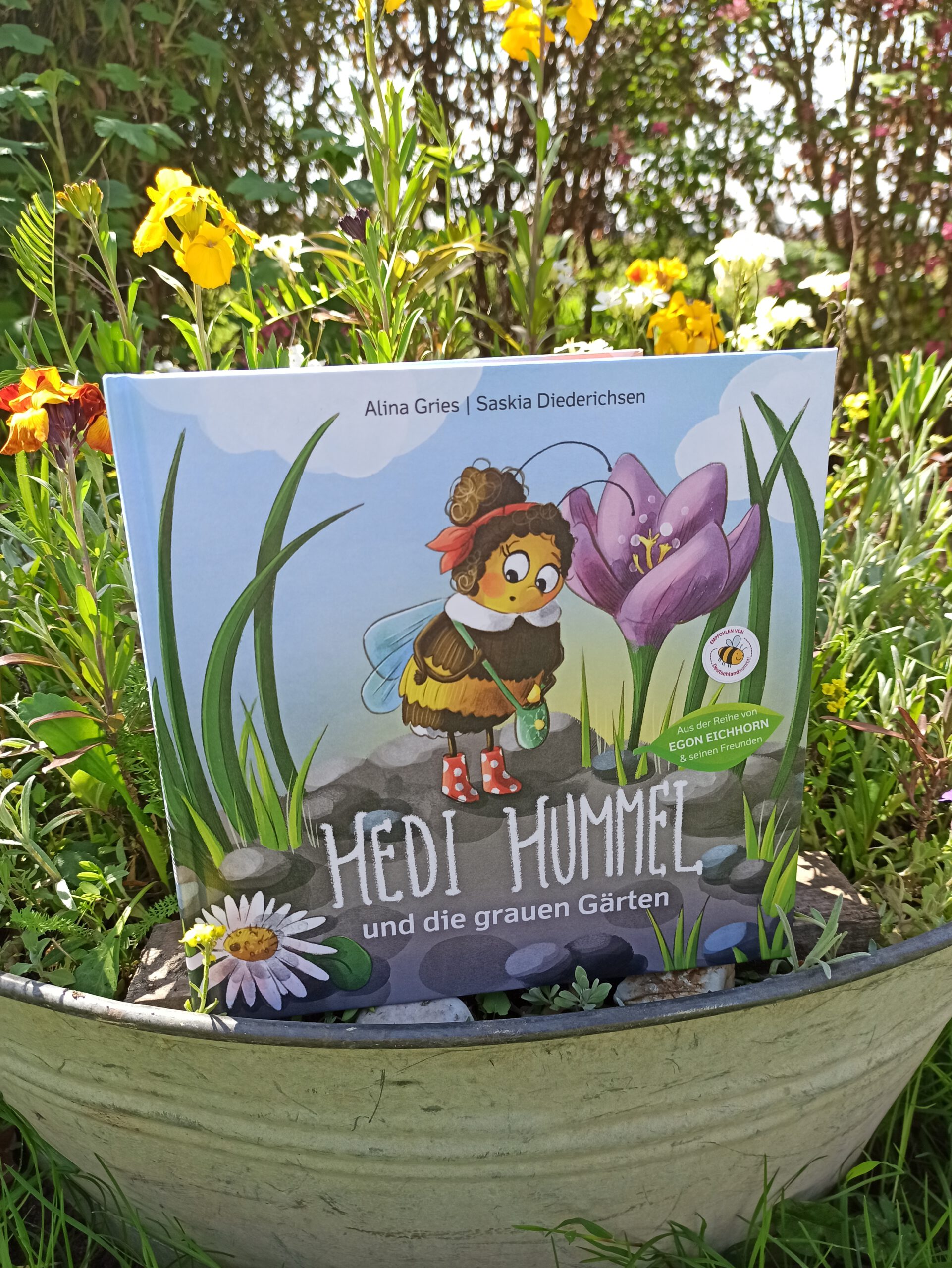 "Hedi Hummel und die grauen Gärten" Buchkinderblog