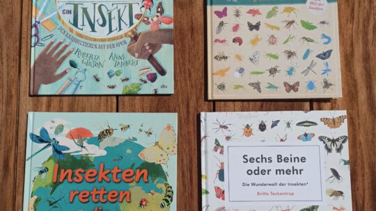 Kindersachbücher zum Thema „Insekten“