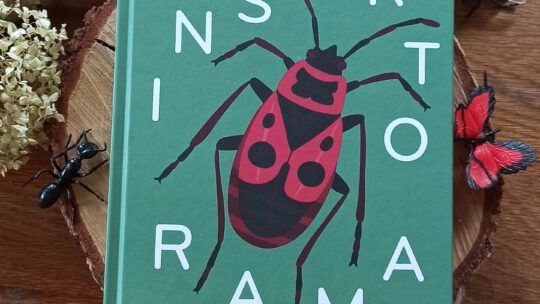 Ein faszinierendes Sachbuch: „Insektorama“