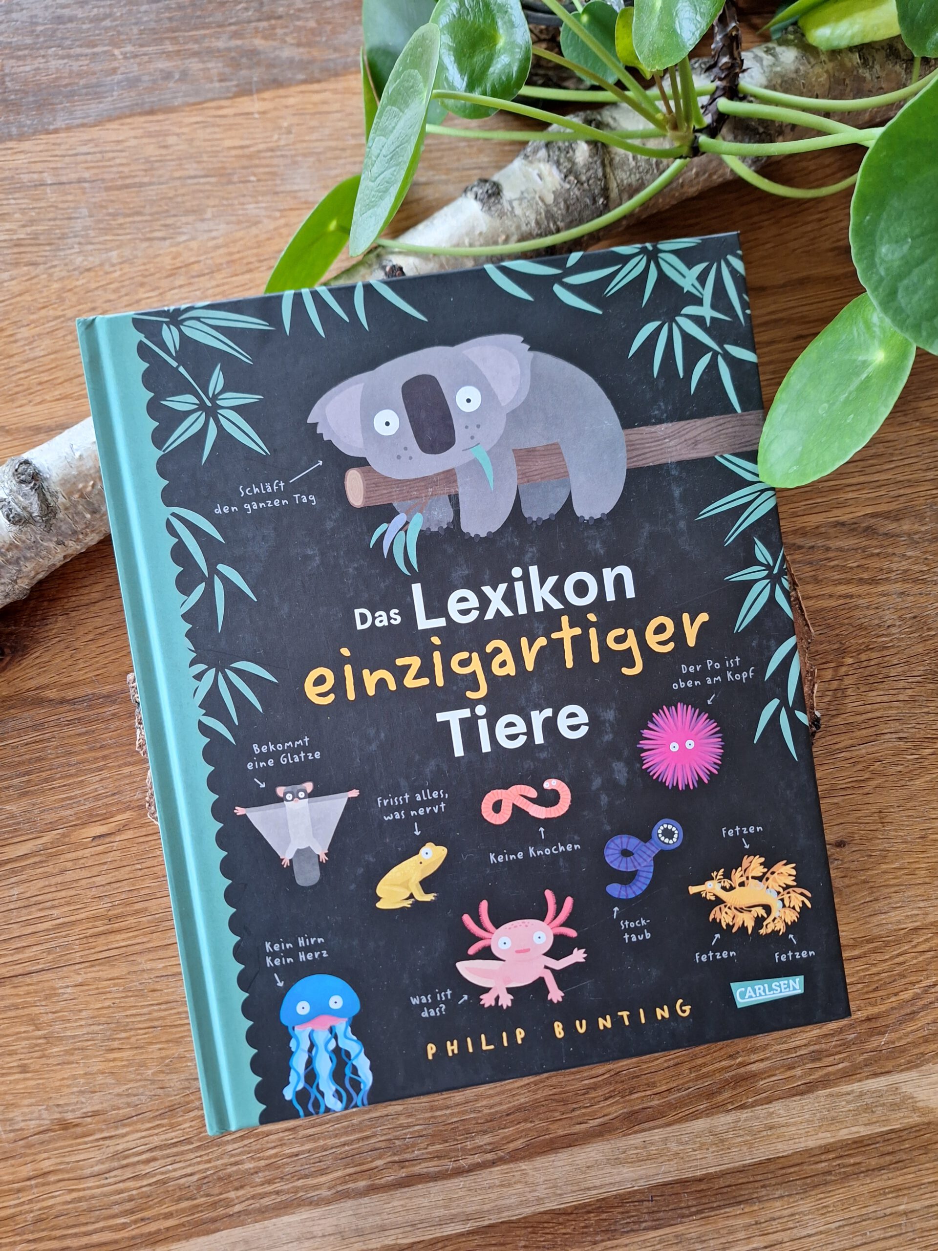 Das Lexikon einzigartiger Tiere - Philip Bunting - Buchkinderblog