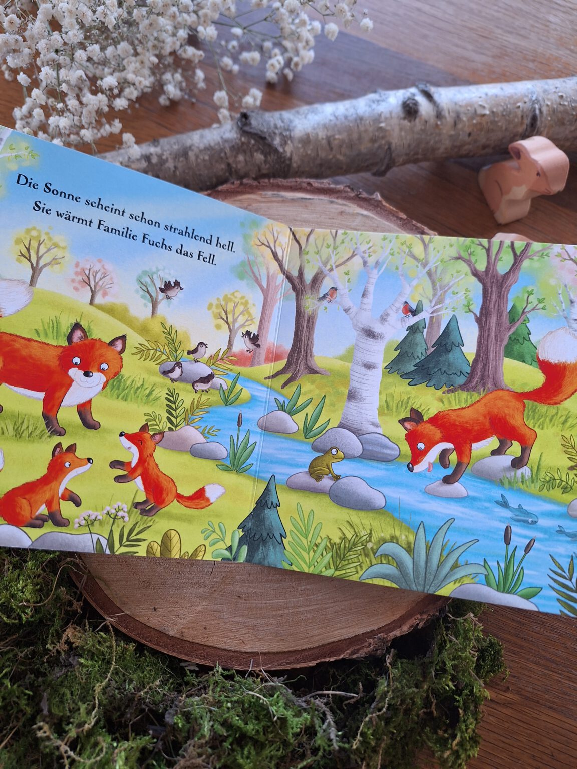 Ein wunderschönes Pappbilderbuch: "Es wird Frühling hier im Wald