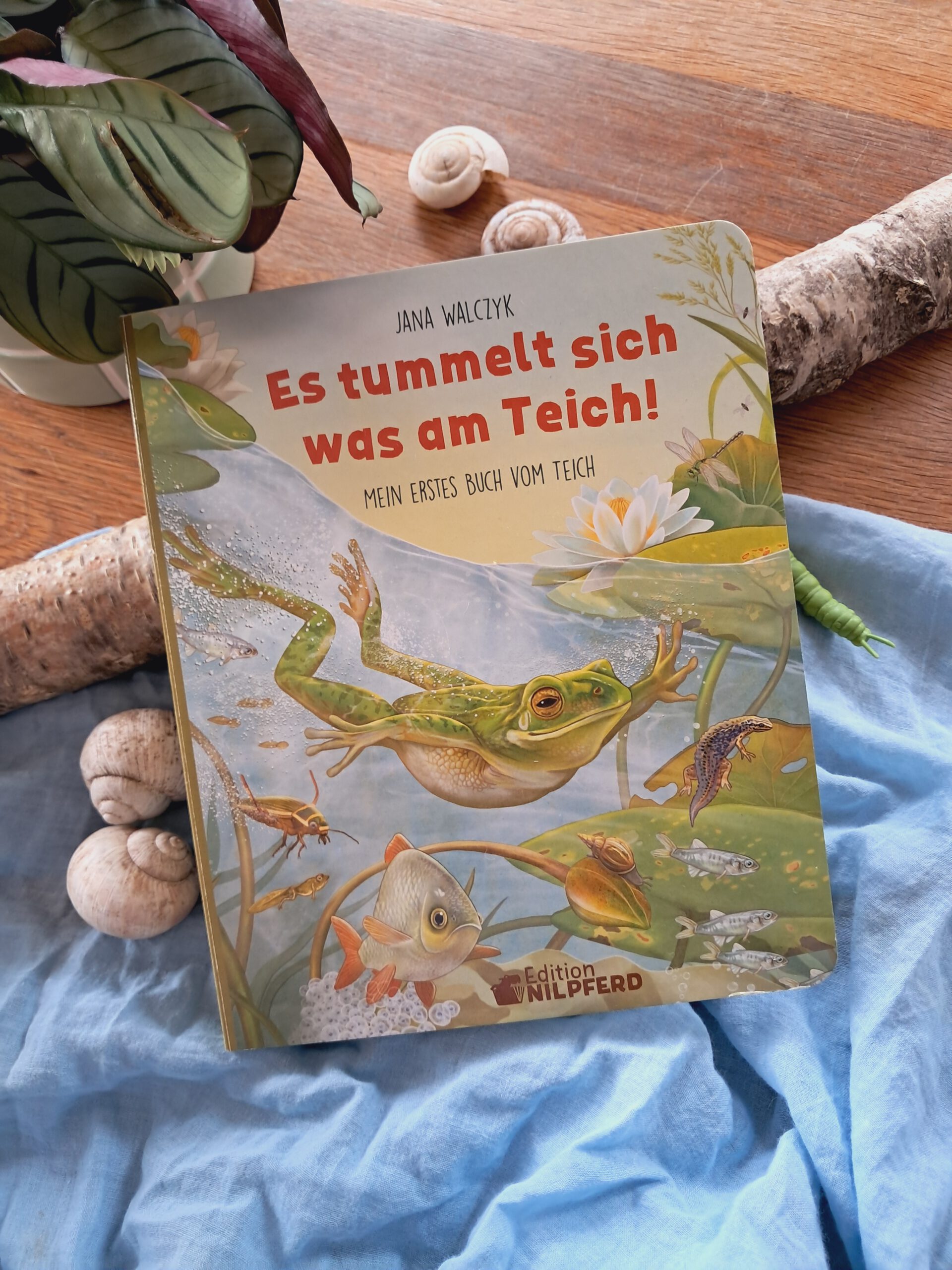 So ein schönes Pappbilderbuch "Es tummelt sich was am Teich