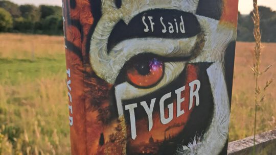 Ein beeindruckendes Kinderbuch ab 12 Jahren: „Tyger“