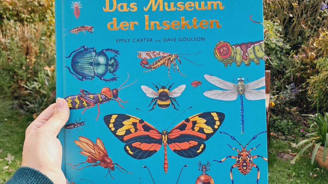 „Eintritt frei! Das Museum der Insekten“