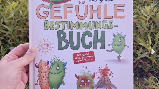 „Das große Gefühle Bestimmungs – Buch“