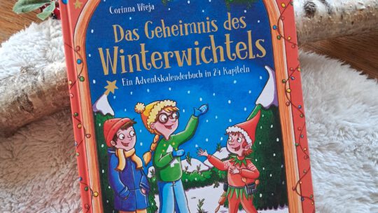 Ein Adventskalenderbuch in 24 Kapiteln: „Das Geheimnis des Weihnachtswichtels“