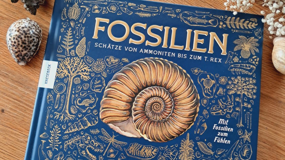 „Fossilien. Schätze von Ammoniten bis zum T. Rex“