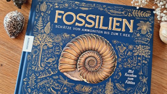 „Fossilien. Schätze von Ammoniten bis zum T. Rex“