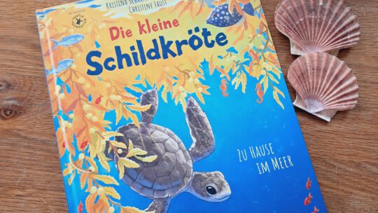 „Die kleine Schildkröte. Zuhause am Meer“