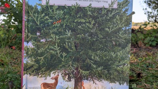 „Das große Buch vom Tannenbaum“