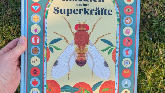 „Insekten und ihre Superkräfte. Entdecke 22 Insekten mit unglaublichen Fähigkeiten“