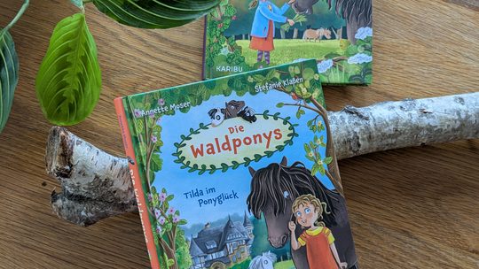 Eine liebenswerte Reihe für „Zweitleser“: Die Waldponys