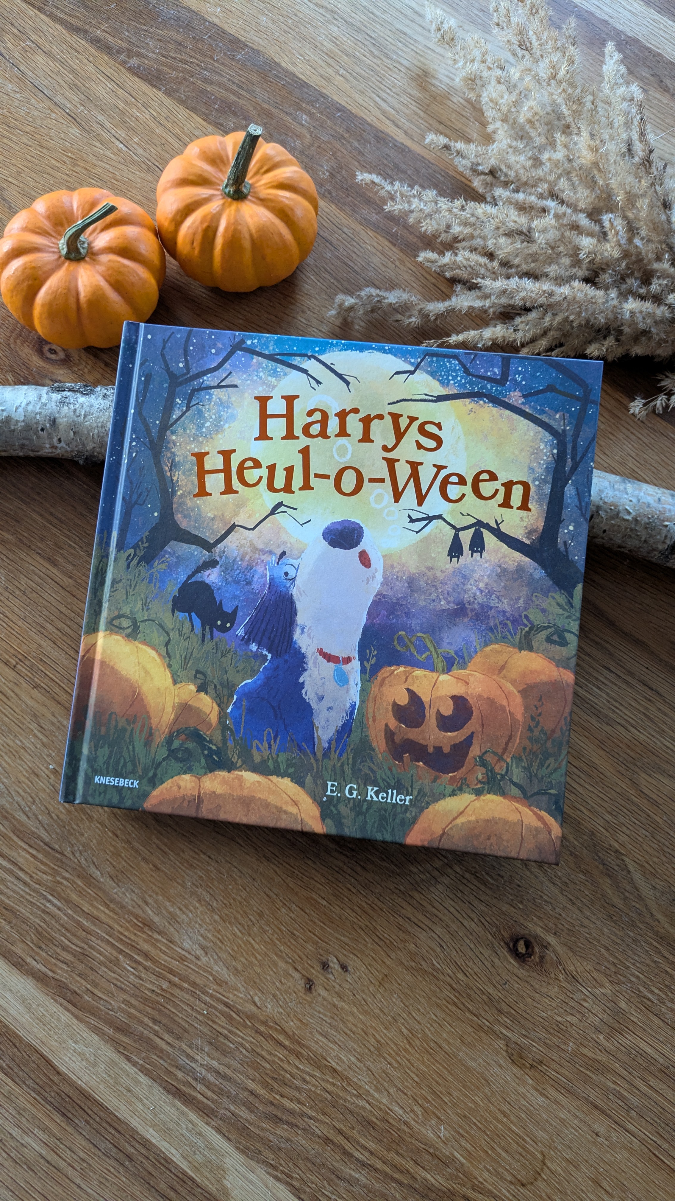 Ein Halloween- Bilderbuch: „Harrys Heul-o-Ween