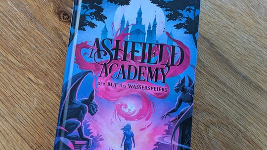 „Ashfield Academy. Der Ruf des Wasserspeiers“